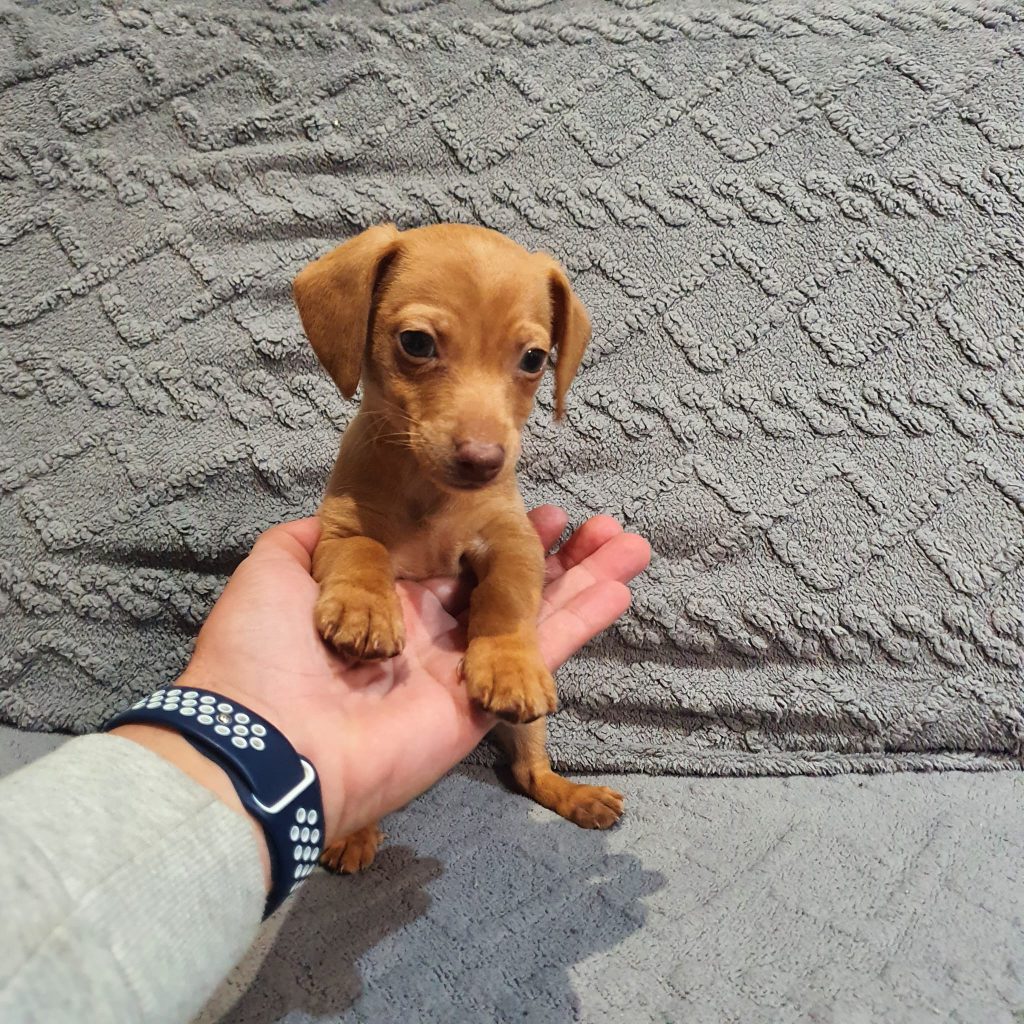 WhatsApp Image 2025-02-18 at 15.06.35