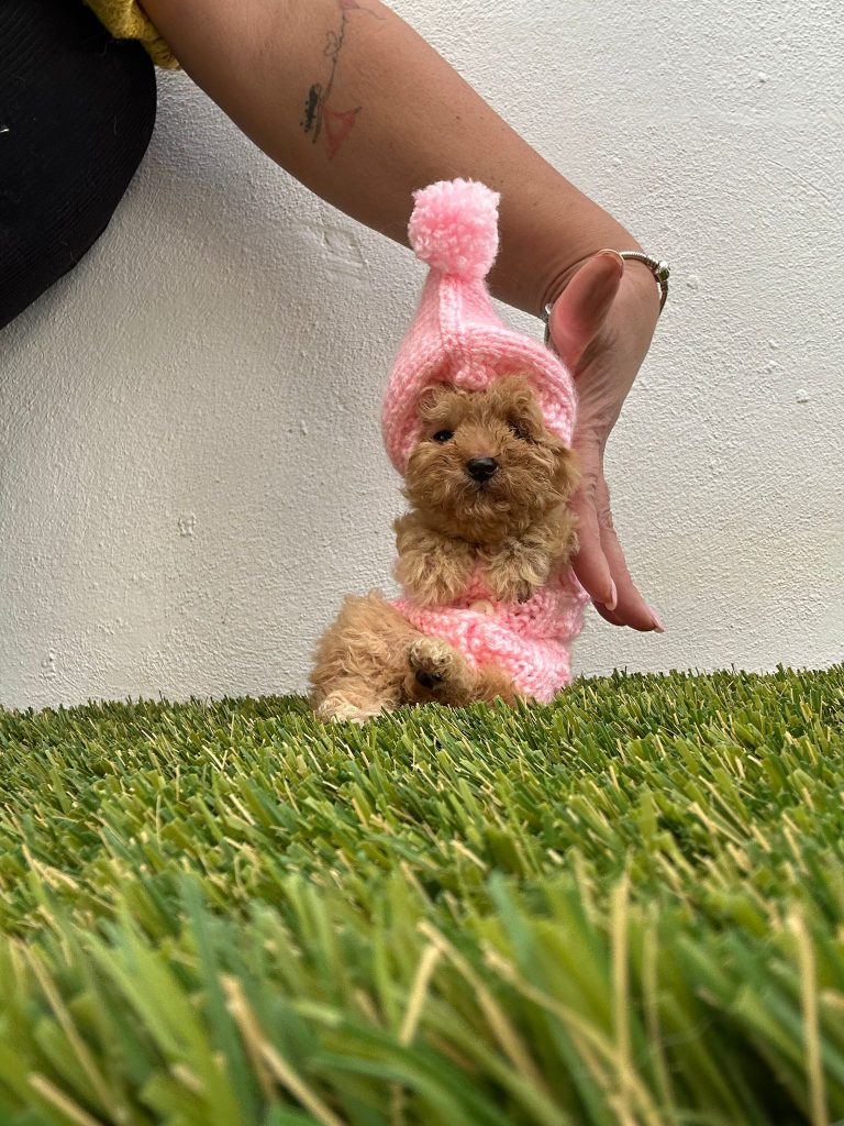 WhatsApp Image 2025-02-18 at 15.06.35 (2)