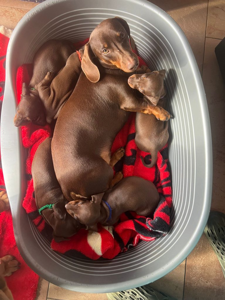 WhatsApp Image 2025-02-18 at 15.06.36 (3)