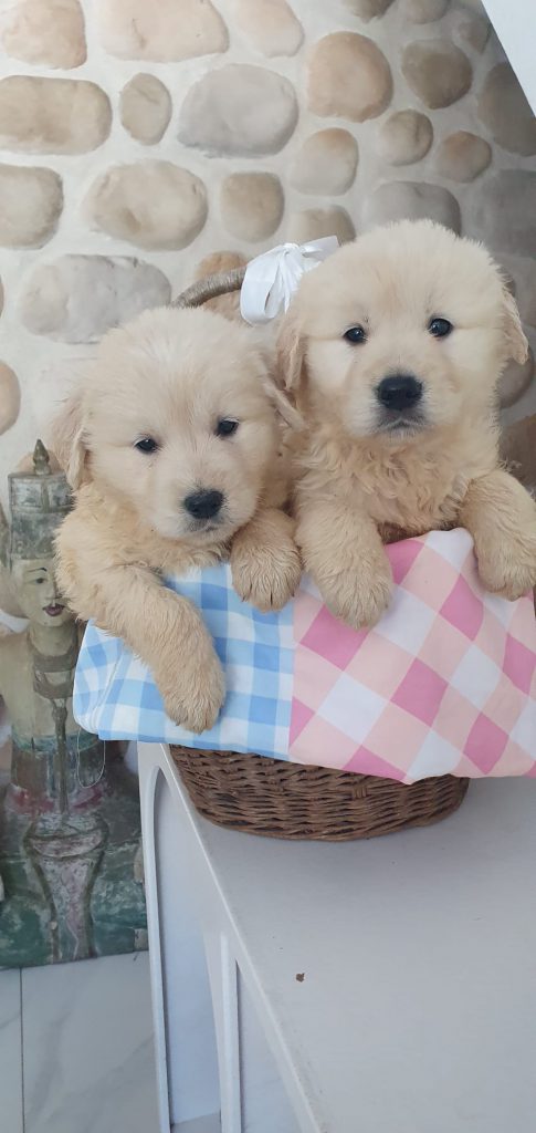 WhatsApp Image 2025-02-18 at 15.06.36